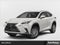 2020 Lexus NX 300 